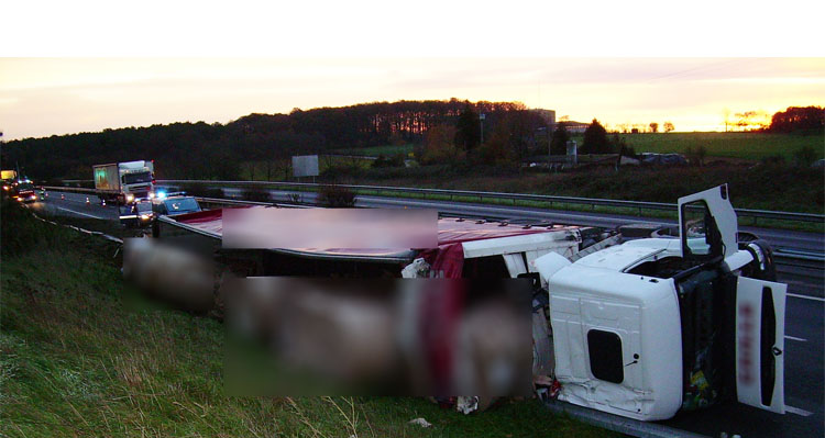 Poids lourd couché sur l'accottement de l'autoroute -Prev2r