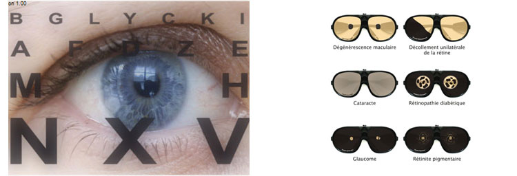 Atelier de sensibilisation sur la vue et la vision - reproduction interdite - Prev2r