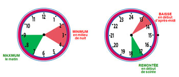 Détection de la fatigue au volant : les solutions se diversifient